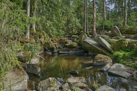 Gemeinde Waldkirchen Landkreis Freyung-Grafenau Saußbachklamm (Dirschl Johann) Deutschland FRG